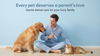 Pet product, Dog & Cat Dental Pen, Health Pet Oral Hygiene, Dog Dental Pen, Cat Dental Pen, Petivar