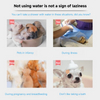 waterless pet shampoo​,waterless shampoo for pets​,pet waterless shampoo,pet waterless foam shampoo