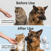 Professional White Tea Pet Perfume Spray for Eliminating Dog and Cat Odors and Extending Freshness