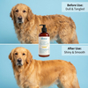 Professional Golden Tulip Scent 6-in-1 Golden Dog Shampoo for Brightening Golden Coat and Boosting Fur Shine
